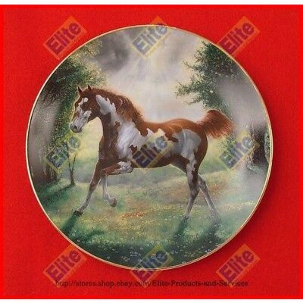Unbridled Spirit "Painted Sunrise" Collectors Plate by Chuck DeHann‎ - MIB